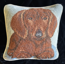 Dachshund dog puppy for sale Dachshund dog puppy for sale  Carmichael