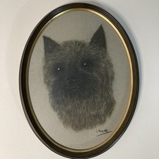 North cairn terrier for sale  ASHFORD