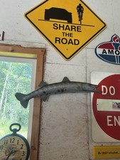 Antique pflueger taxidermy for sale  North Smithfield