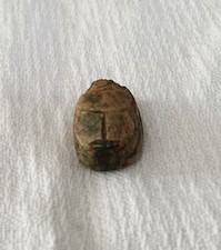Scarabée ancienne d'occasion  Nice-