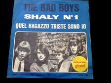 The bad boys. usato  Roma