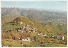 Roncola bernardo bergamo usato  Isola Vicentina