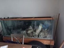 250 gallon fish for sale  Middletown