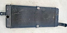 Radiatore acqua honda usato  Lamezia Terme