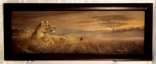 Serengeti africa sunset for sale  Clarksville