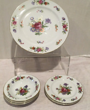 Wentworth dresdon china for sale  Hanska