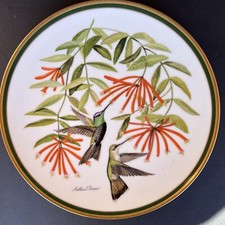 Woodland birds rivoli for sale  Forney