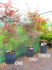 6ft 7ft inc. for sale  OXFORD