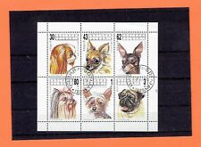 Motivbriefmarken hunde kleinbo gebraucht kaufen  Ehingen (Donau)