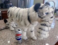 Large white bengal for sale  Garnet Valley