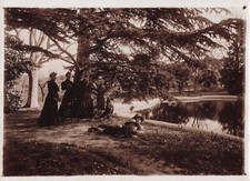 Old photograph family d'occasion  Expédié en Belgium