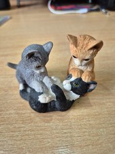 ginger kittens for sale  WARMINSTER