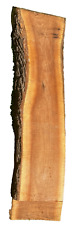 Black walnut live for sale  Sylvan Beach