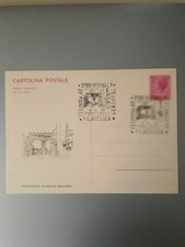 Interi postali italia usato  Fiorenzuola d'Arda