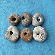 Six natural hag for sale  RYE