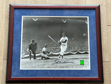 Ted williams hof for sale  Oklahoma City