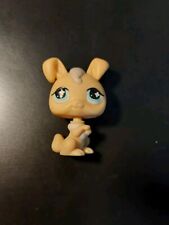 Littlest pet shop gebraucht kaufen  Berlin