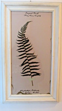 Vintage framed botanical for sale  Chicago