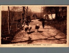 Verbania sulla strada usato  Asti