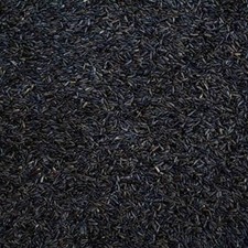 Niger nyjer seed for sale  CARDIFF