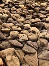 Dreamweavers pebble rug for sale  FLEET