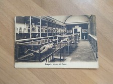 Cartolina campania napoli usato  Sarzana