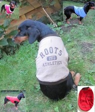 Hunde shirt hemd gebraucht kaufen Hunde shirt hemd gebraucht kaufen  Wedel