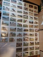 Horse complete set for sale  RUGBY