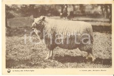 1930 france syndicat usato 1930 france syndicat usato  Milano