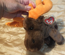 Beanie buddies moose for sale  CONGLETON