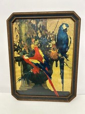 Vtg c1930s macaw for sale  Akron