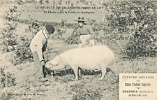 Récolte truffe lot d'occasion Récolte truffe lot d'occasion  Expédié en France