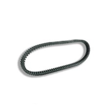 Cinghia trasmissione honda usato  Catania