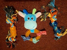 toys puppies for sale toys puppies for sale HATFIELD