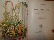 Fiori appartamento serra usato  San Giorgio di Piano