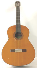 eterna guitar for sale  San Jose