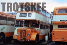 35mm slide selnec for sale  HIGH WYCOMBE