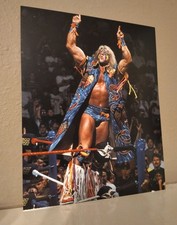 Wwf ultimate warrior for sale  Katy