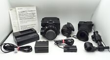 Sony nex fs100e gebraucht kaufen  Schwelm