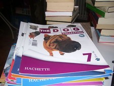Rivista the dog usato  Piossasco