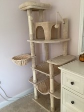 Petepela 173cm cat for sale  NEWBURY