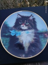 Assiette far from d'occasion  Marquise
