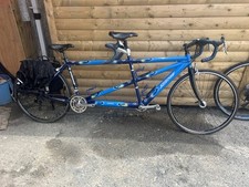 One kind beautiful for sale  LLANDRINDOD WELLS