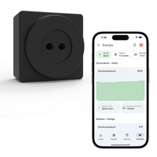 Everhome ecotracker stromzähl gebraucht kaufen  Löwenstein