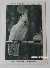 Image collection chromo d'occasion Image collection chromo d'occasion  Ham