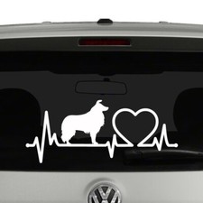 Border collie heartbeat for sale  Santee