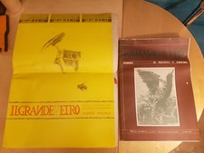 Ilgrandevetro renzo galardini usato  Firenze