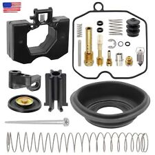 Carburetor rebuild kit for sale  USA