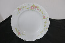 Speiseteller rosenthal classic gebraucht kaufen  Wunsiedel