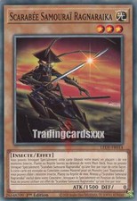 Scarabée samouraï ragnaraika d'occasion  France